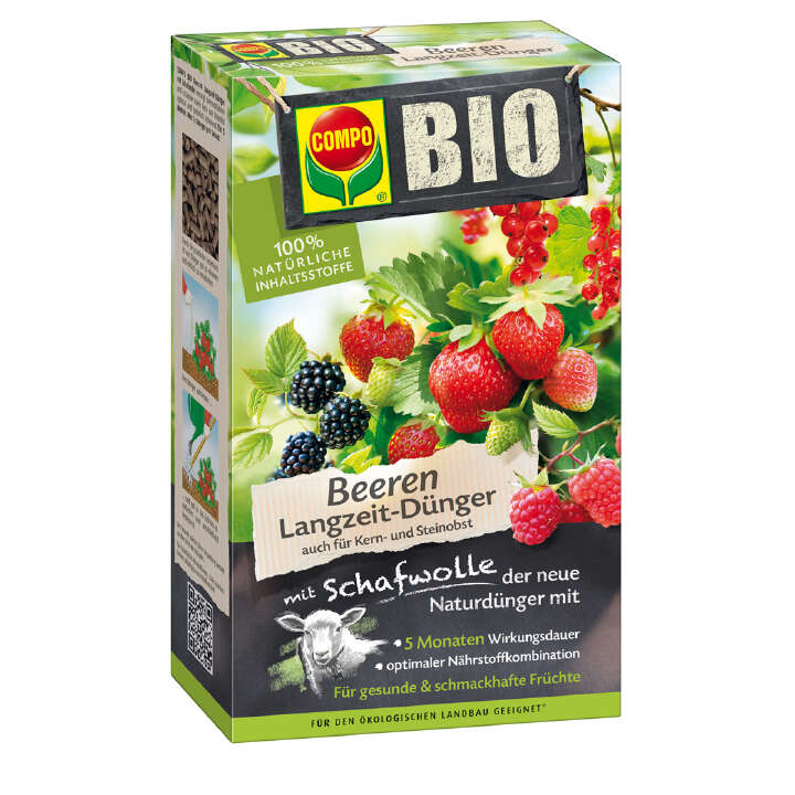 COMPO BIO Beeren- & Obst Langzeit-Dünger mit Schafwolle